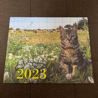 ベネッセ(Benesse)のねこのきもち　2023 カレンダー(カレンダー/スケジュール)