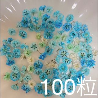 ブルー系 かすみ草ドライフラワー100粒(ドライフラワー)