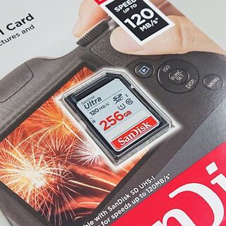 256GB SDXCカード SanDisk Ultra R:100MB/s