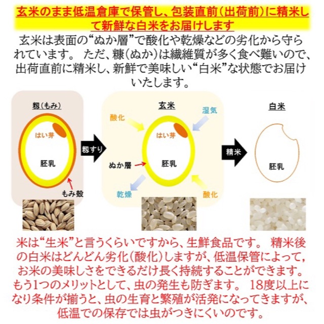 新潟県三条市しただ産　100%　ミルキークイーン玄米20kg　米/穀物　令和4年　送料無料