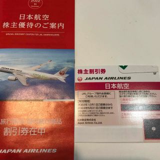 日本航空　株主優待(航空券)