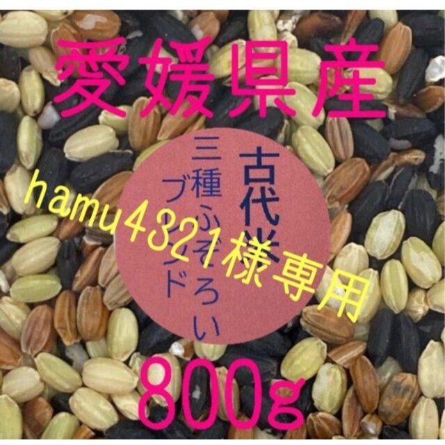 hamu4321様専用　古代米3種ふぞろいブレンド　愛媛県産　800ｇ 食品/飲料/酒の食品(米/穀物)の商品写真