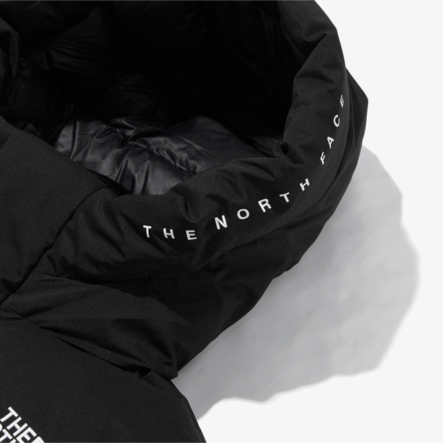 THE NORTH FACE(ザノースフェイス)の【専用】ノースフェイス　フリームーブ  ビレイヤー  バルトロ  海外限定 メンズのジャケット/アウター(ダウンジャケット)の商品写真