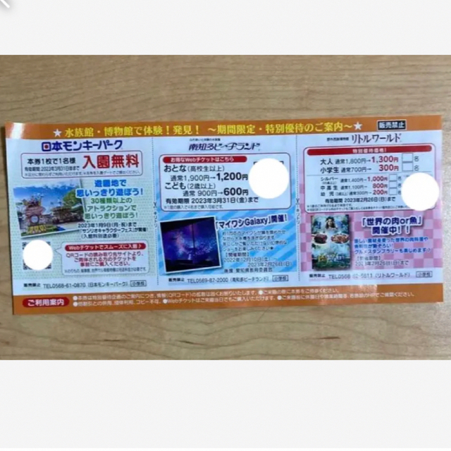 日本モンキーパーク 南知多ビーチランド リトルワールド チケット チケットの施設利用券(遊園地/テーマパーク)の商品写真