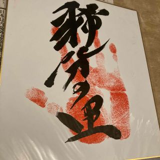 色紙(相撲/武道)