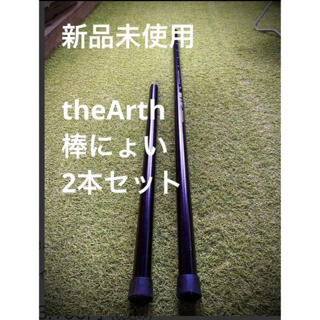 新品　theArthざぁーす　メインポール　棒にょい　2本セットアウトドア