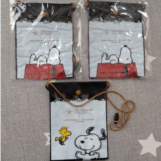 スヌーピー(SNOOPY)のスヌーピー　パスケース　USJ　値下げ！(遊園地/テーマパーク)