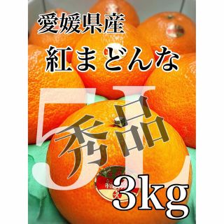 ダントツ1番人気！愛媛中央農協 デカうま！【紅まどんな】青秀品5L 7玉 3kg(フルーツ)