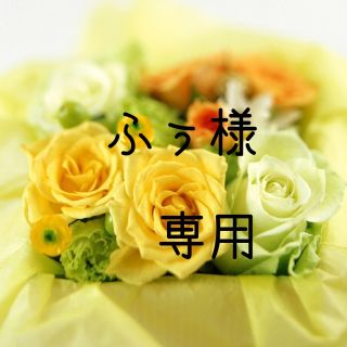 ふぅ様専用　お米 令和4年　愛媛県産ヒノヒカリ　玄米　30㎏(米/穀物)