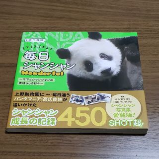 中古☆毎日シャンシャン☆wonderfull(その他)