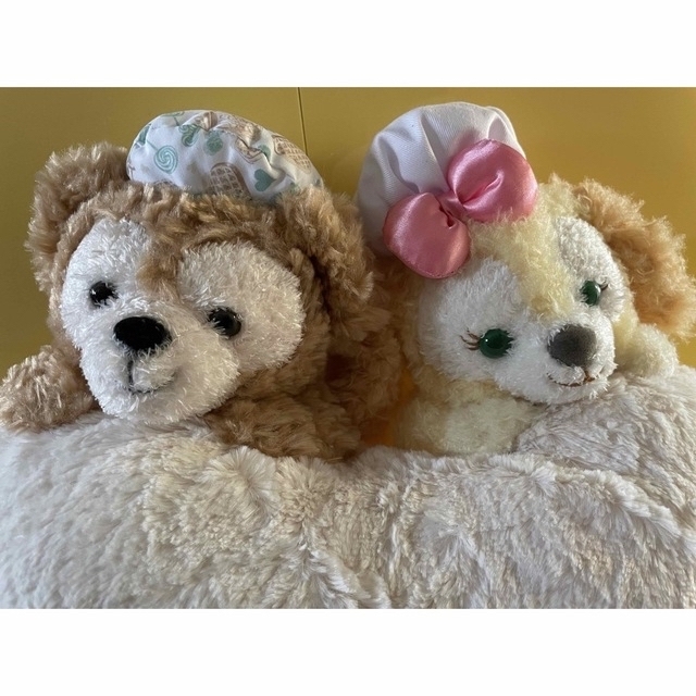 ダッフィー - 定価以下☆ ハートウォーミングデイズ ❤️ ディズニー