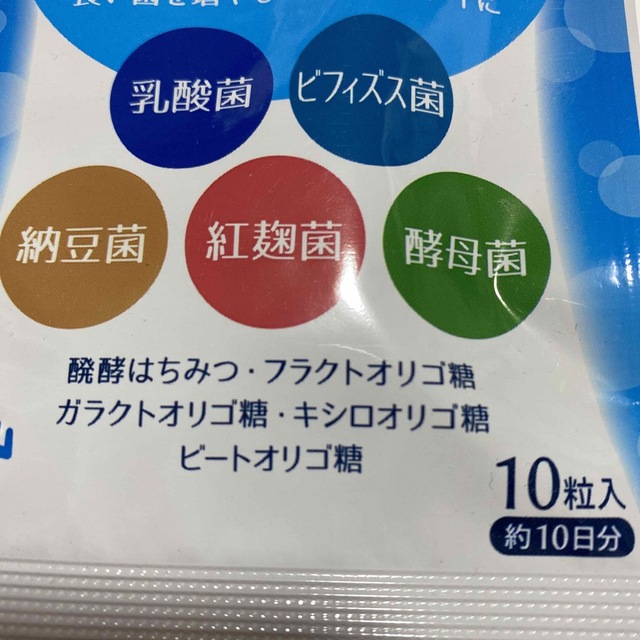 菌のチカラ・５種類の善玉菌・サプリメント・１0日分 食品/飲料/酒の健康食品(その他)の商品写真