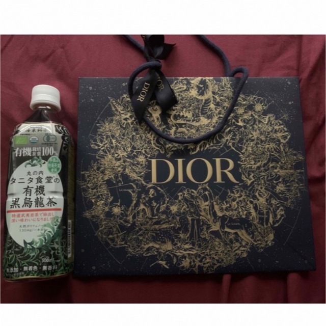 Dior(ディオール)のDIOR ショッパー　今季限定デザイン レディースのバッグ(ショップ袋)の商品写真