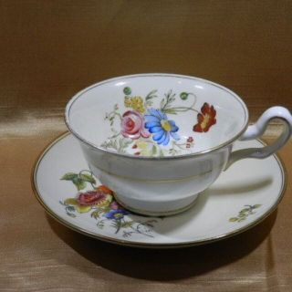 ウェッジウッド(WEDGWOOD)のウェッジウッド　カップ＆ソーサー　ポジースプレー　径10cmソーサー15cm(グラス/カップ)