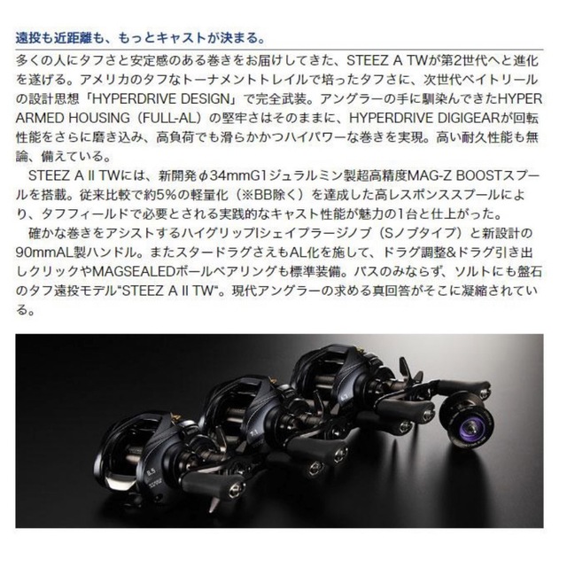 最大50%OFFクーポン Fishing KAMIYAMAダイワ 23STEEZ AII TW 1000XHL