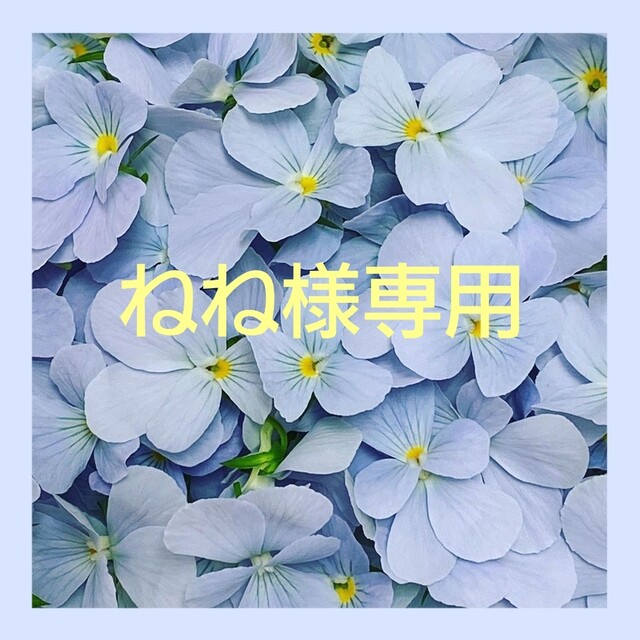 ねね様専用の通販 by &FLOWER|ラクマ
