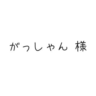 がっしゃん様　専用ページ(その他)