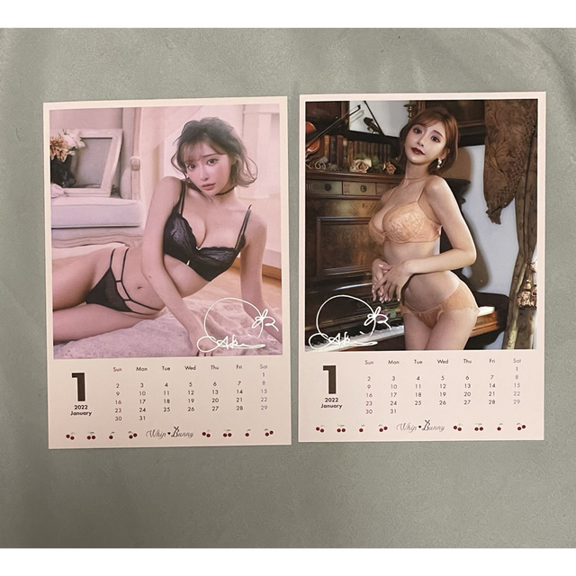 dazzy store(デイジーストア)のwhipbunny カレンダー 2022年 1月 エンタメ/ホビーのタレントグッズ(女性タレント)の商品写真