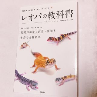 レオパの教科書　ヒョウモントカゲ　爬虫類　ペット(住まい/暮らし/子育て)