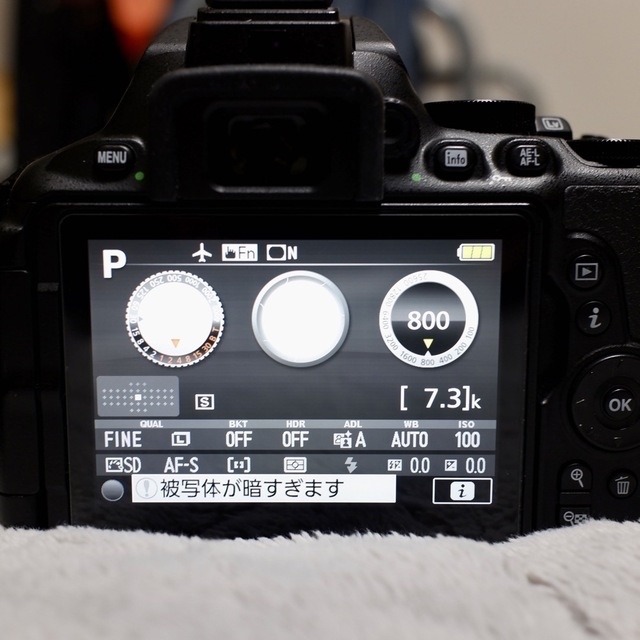 ニコン Nikon D5600（不具合あり） オプション多数