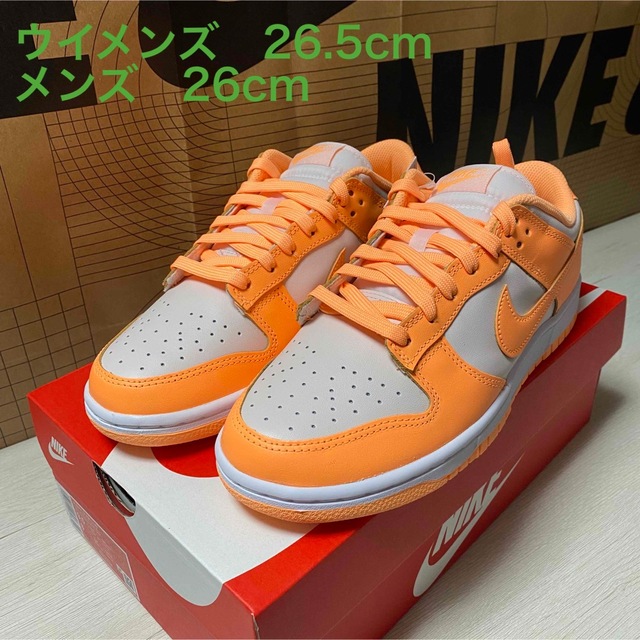 W NIKE DUNK LOW ナイキダンクLOWスニーカー