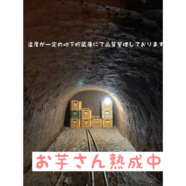 千葉県産サツマイモ　熟成シルクスイート  サイズミックス5kg さつまいも 食品/飲料/酒の食品(野菜)の商品写真