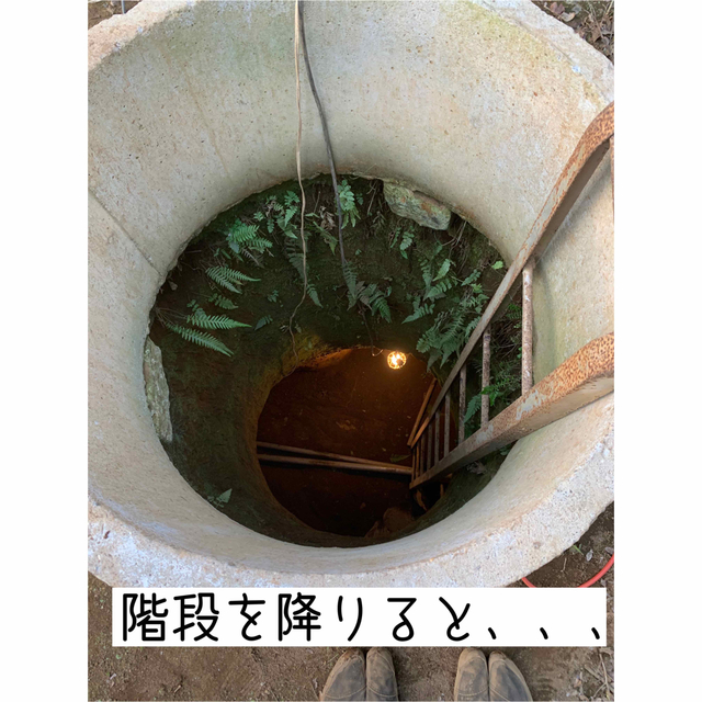 千葉県産サツマイモ　熟成シルクスイート  サイズミックス5kg さつまいも 食品/飲料/酒の食品(野菜)の商品写真