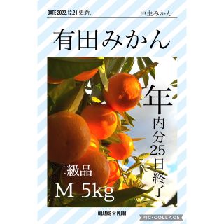 5kg M 和歌山みかん 中生みかん 家庭用 二級品 B級品 優品 5キロ(フルーツ)