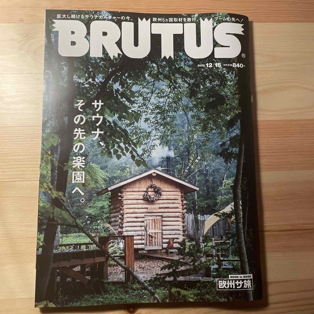 BRUTUS (ブルータス) 2022年 12/15号 エンタメ/ホビーの雑誌(その他)の商品写真