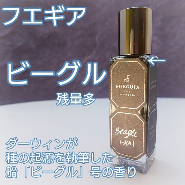 K様専用　フエギア⭐「ビーグル」30ml　おまとめ用のサムネイル