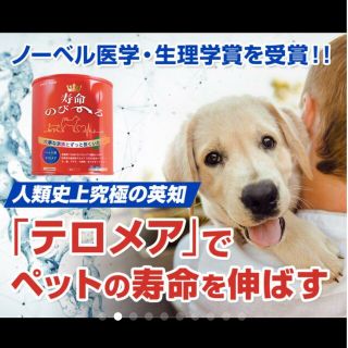 世界初！日本先行販売　ペット用テロメアのサプリ　普段のご飯に混ぜるだけ　1缶(ペットフード)