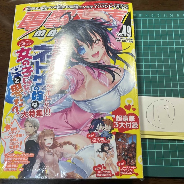 電撃文庫magazine 狼と香辛料　ソードアート・オンライン