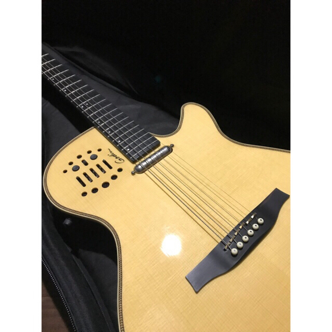 完成品 未使用に近いA+】Godin Multiac Spectrum SA エレキギター