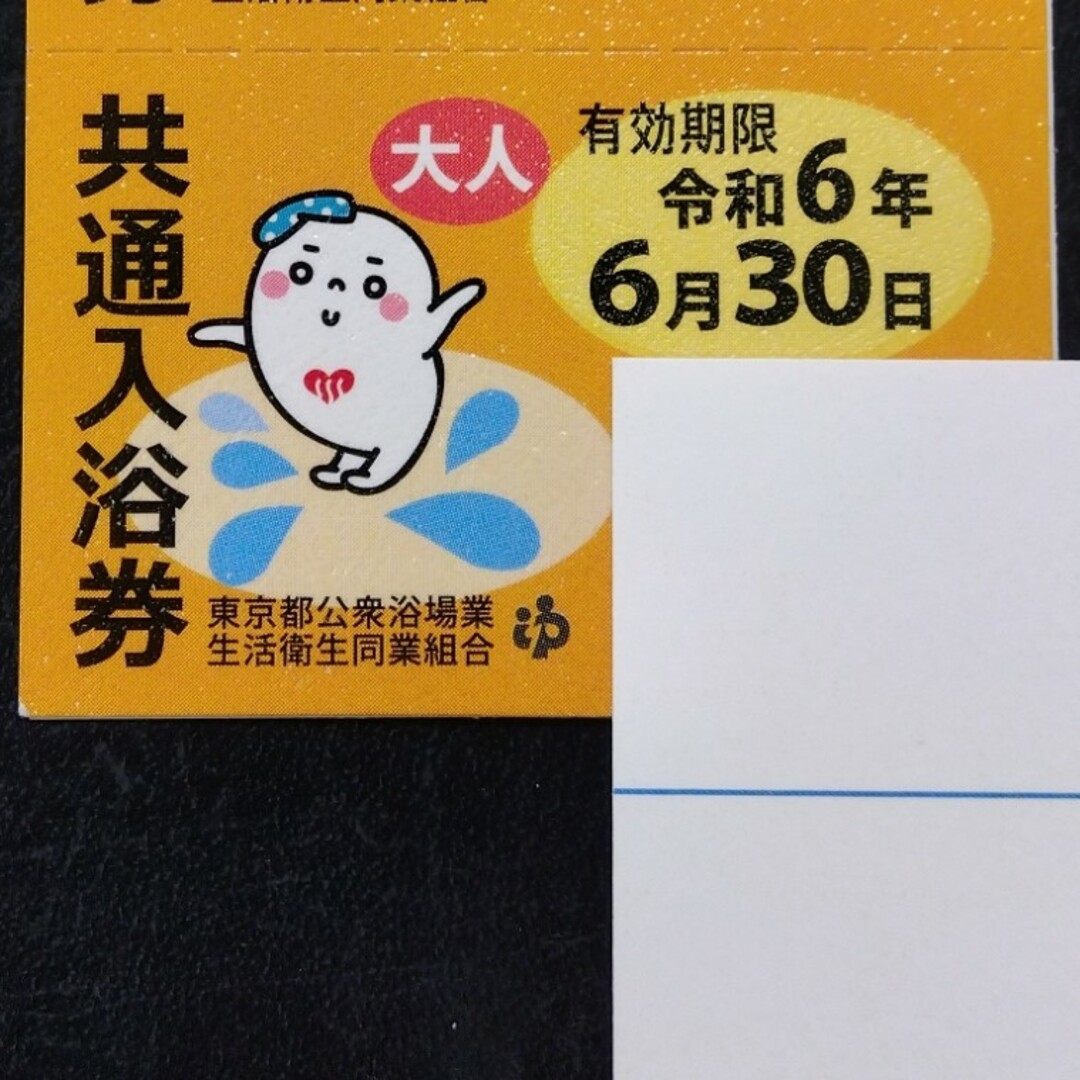 東京都　銭湯　共通入浴券30枚チケット