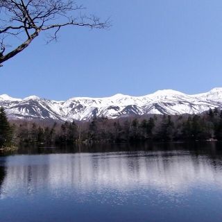 島さん専用(その他)