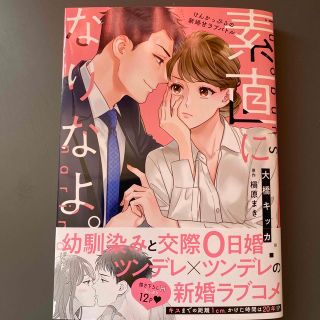 素直になりなよ。　けんかっぷるの新婚甘ラブバトル(女性漫画)