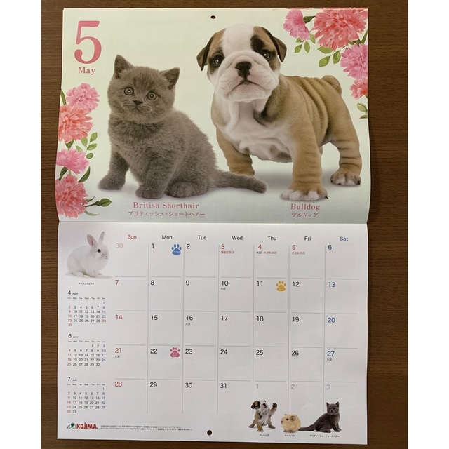 2023年カレンダー　犬　猫　わんちゃん　ねこちゃん　ワンちゃん　ネコちゃん インテリア/住まい/日用品の文房具(カレンダー/スケジュール)の商品写真