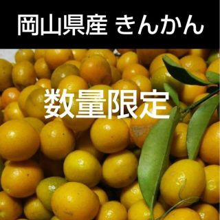 岡山県産 無農薬  化学肥料不使用  きんかん 金柑 キンカン(フルーツ)