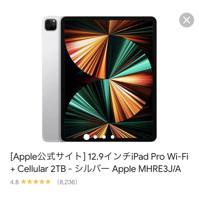 春夏新作モデル iPad Pro 12.9インチWi-Fi + Cellular（第5世代