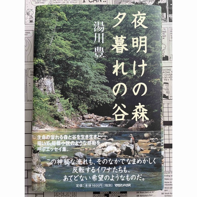 「夜明けの森、夕暮れの谷」湯川豊 エンタメ/ホビーの本(文学/小説)の商品写真