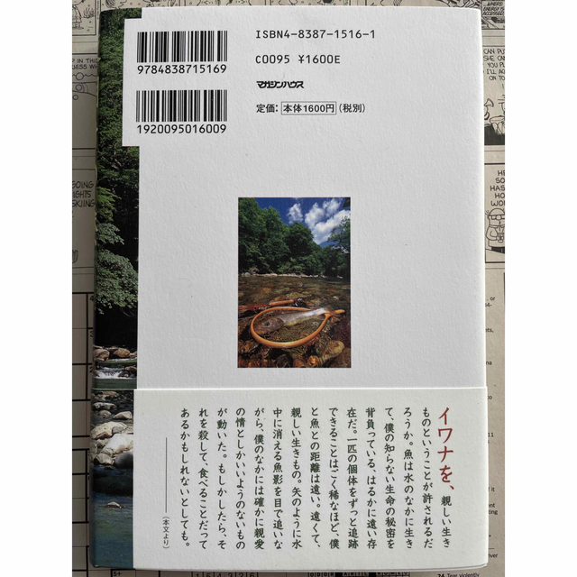 「夜明けの森、夕暮れの谷」湯川豊 エンタメ/ホビーの本(文学/小説)の商品写真