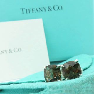 ティファニー(Tiffany & Co.)の未使用 ティファニー ブラウン スパークラ― シルバー ピアス UU73(ピアス)