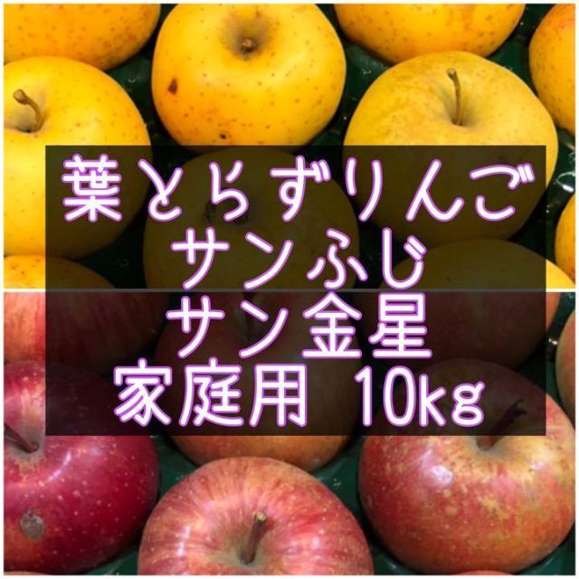 青森りんご 葉とらずサンふじ・サン金星 10kg 家庭用 食品/飲料/酒の食品(フルーツ)の商品写真