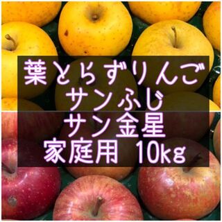青森りんご 葉とらずサンふじ・サン金星 10kg 家庭用(フルーツ)