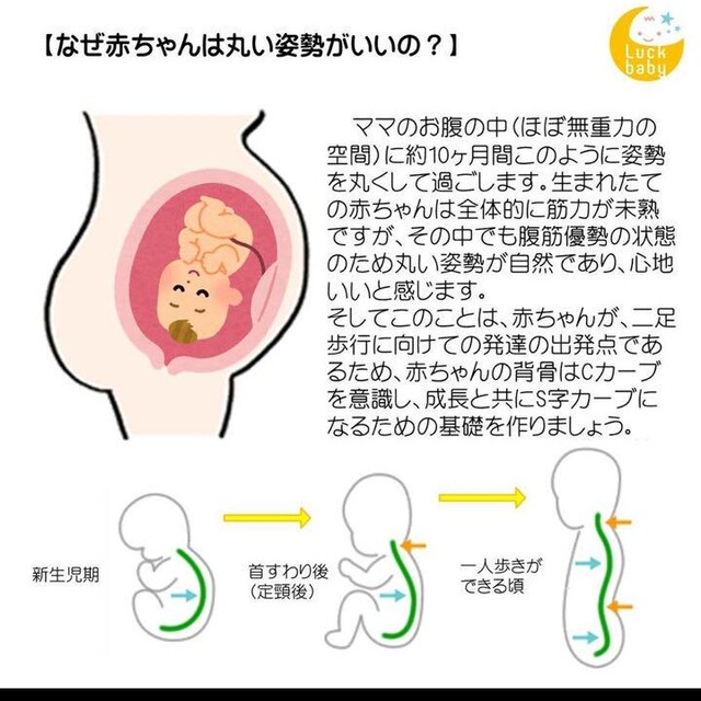 ラックベビークッションSサイズ 1