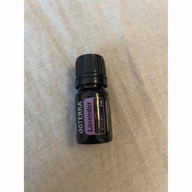 doTERRA(ドテラ)のドテラ　doTERRA ラベンダー　未使用品　5ml コスメ/美容のリラクゼーション(エッセンシャルオイル（精油）)の商品写真