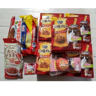 イナバペットフード(いなばペットフード)のキャットフード　ごはん　おやつ　おもちゃ　猫　ネコ(ペットフード)