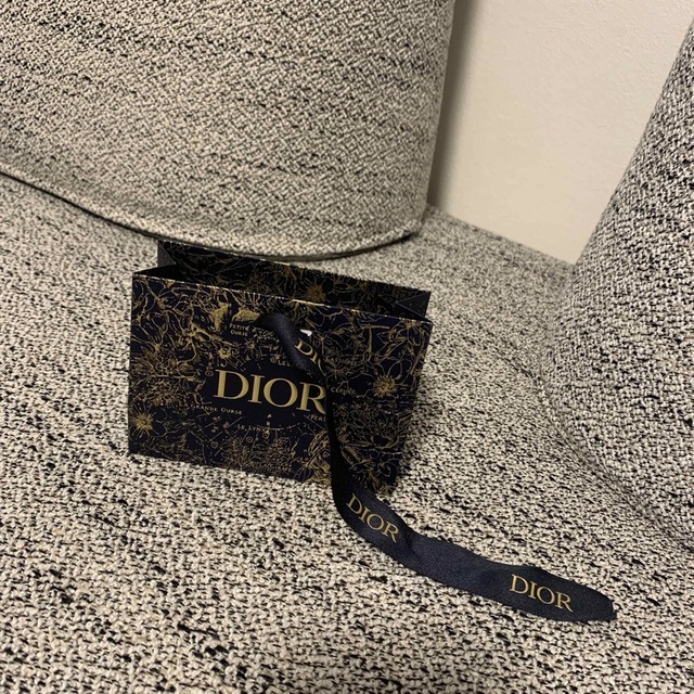 Dior(ディオール)のdior ショッパー　袋 レディースのバッグ(ショップ袋)の商品写真