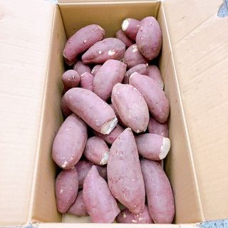 高糖度サツマイモ 大分県産 甘太くん 5キロ(野菜)