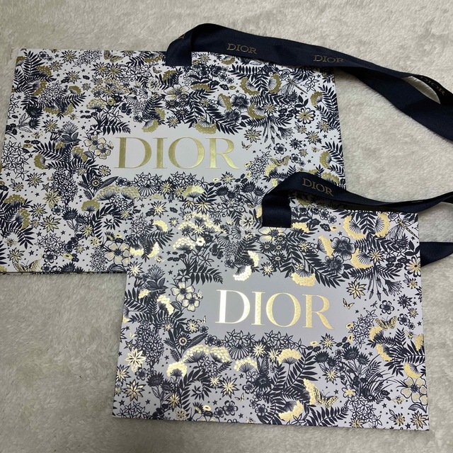 Dior(ディオール)のディオール 2021ホリデー限定ショッパー 2枚 レディースのバッグ(ショップ袋)の商品写真